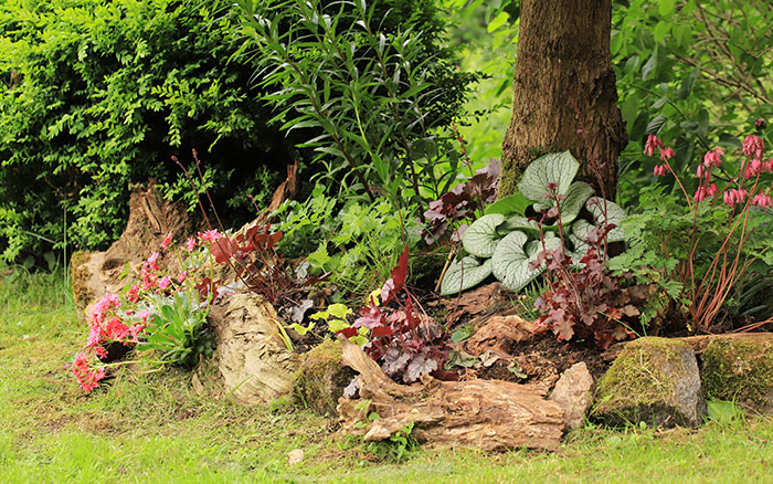 stumpery garden feature