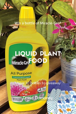 Win Liquid Plant Food