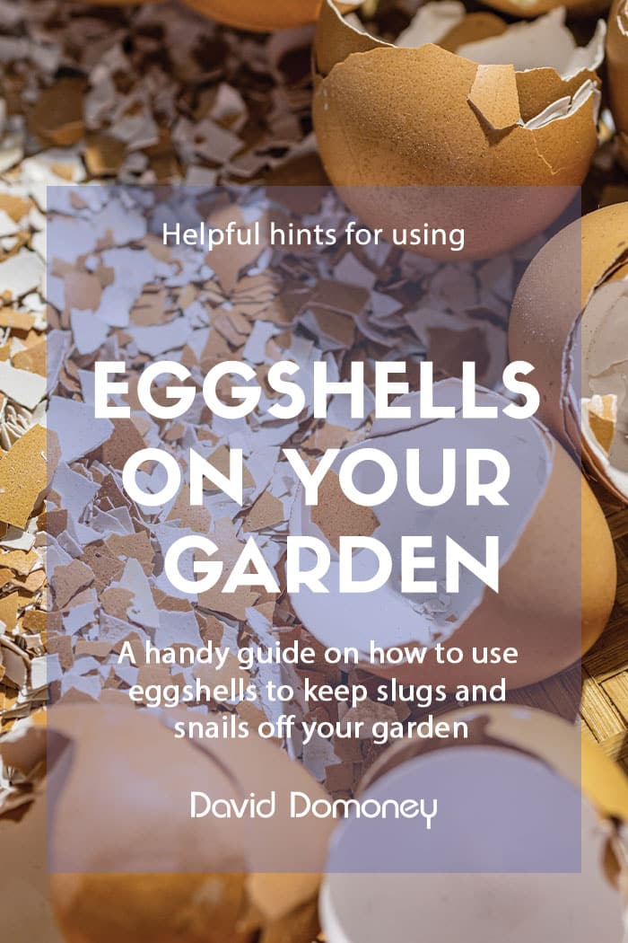 eggshells in the garden