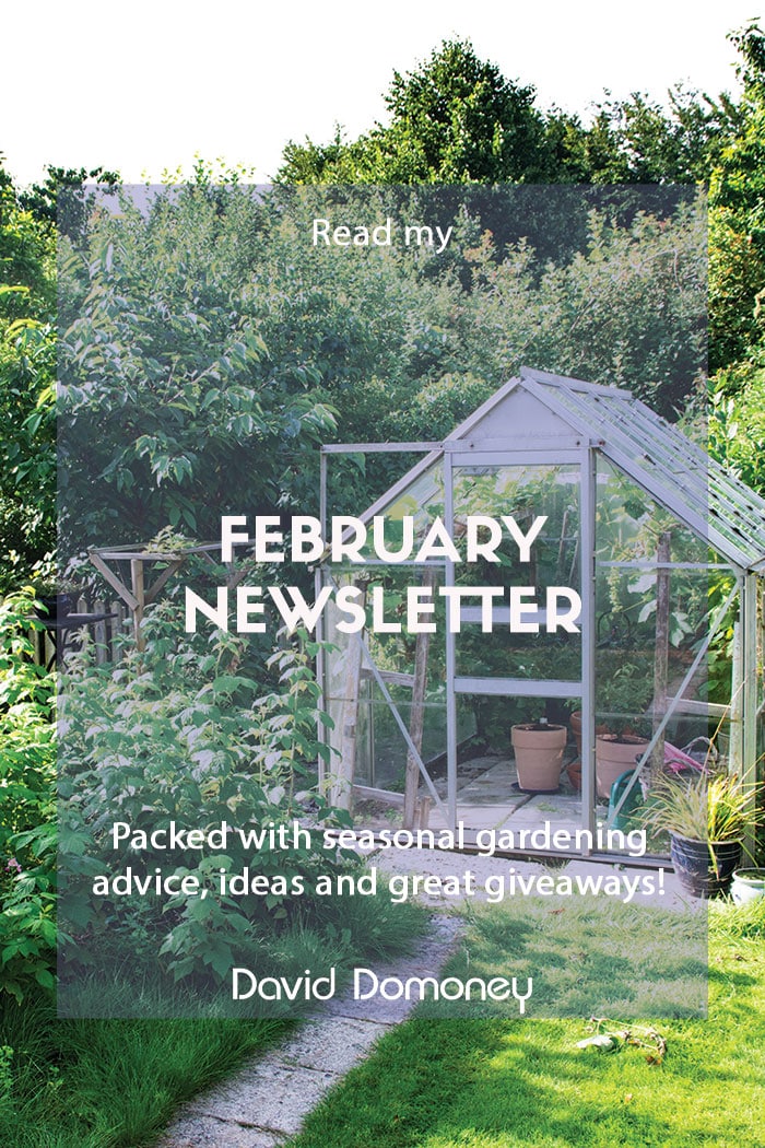 February 2023 Newsletter Feature