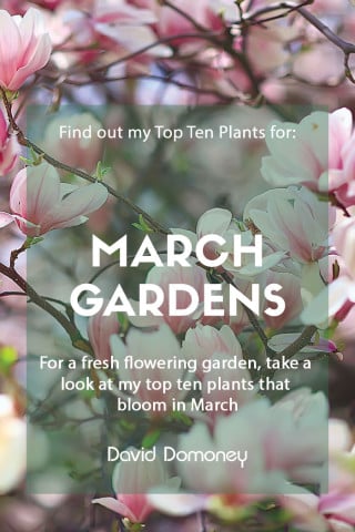 top 10 plants for march gardens 2023