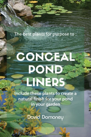 Pond liner feature