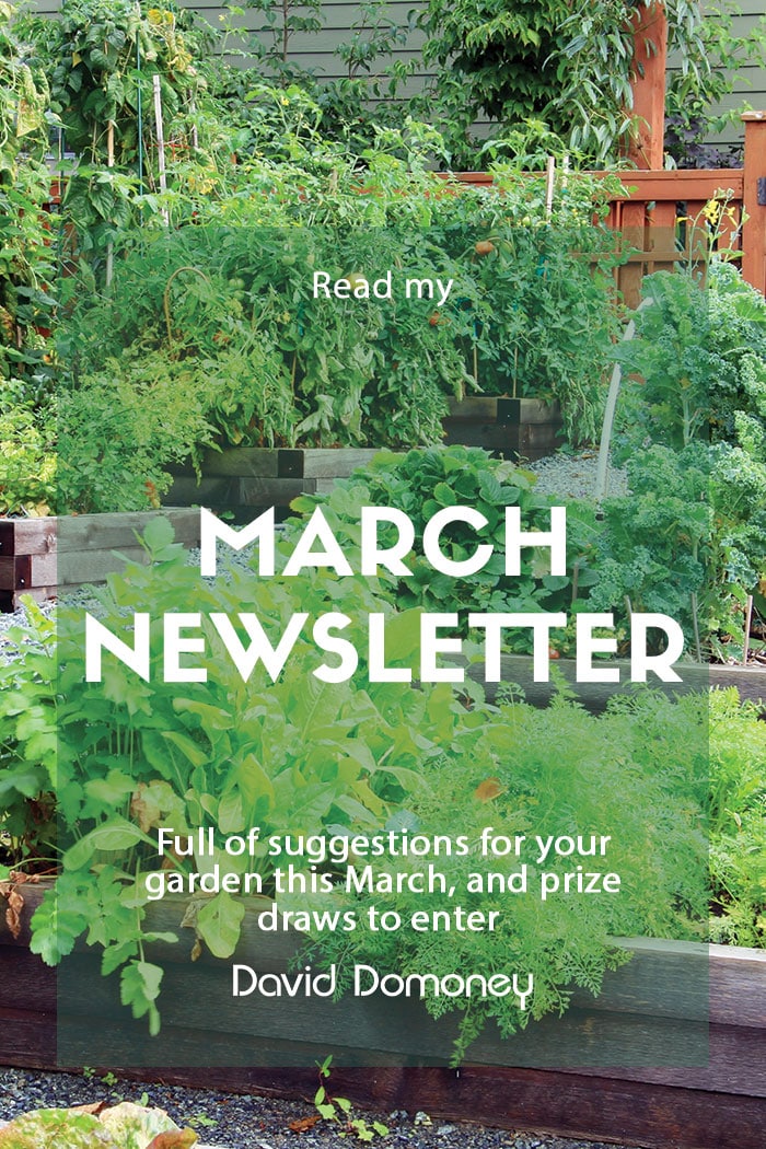 march 2023 newsletter feature