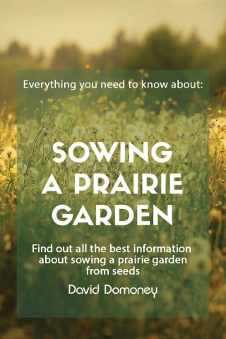 sowing a prairie garden