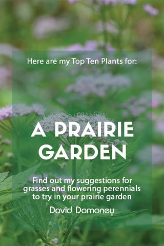 top 10 plants for a prairie garden