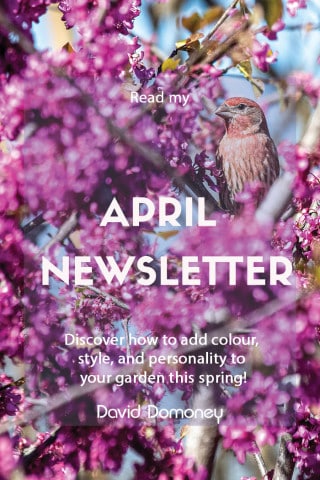 april 2023 newsletter feature