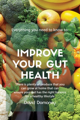 improve gut health feature