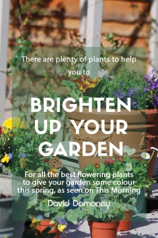 brighten up garden