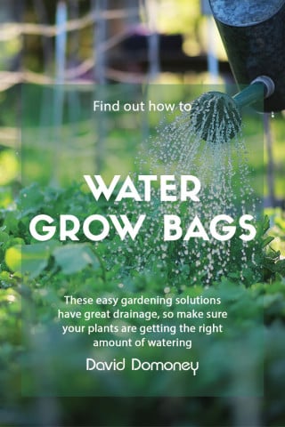 watering grow bags feature