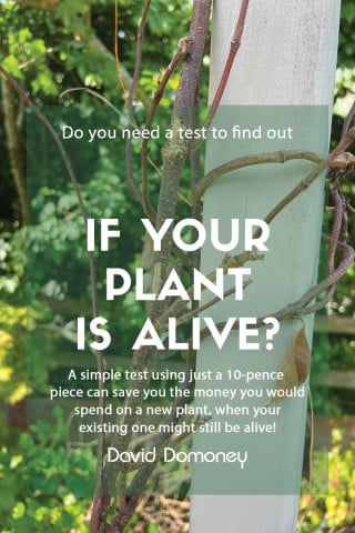 how to keep plant alive feature