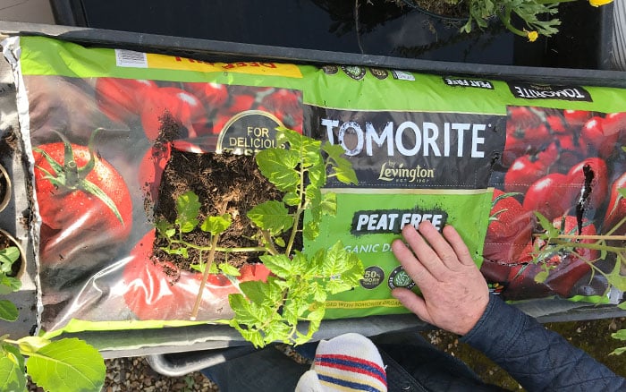 Grow Tomatoes Anywhere with Grow Bags — Meadowlark Journal