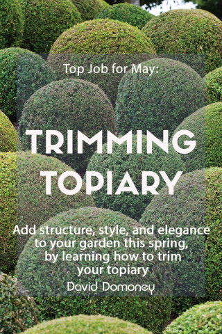 trimming topiary feature image