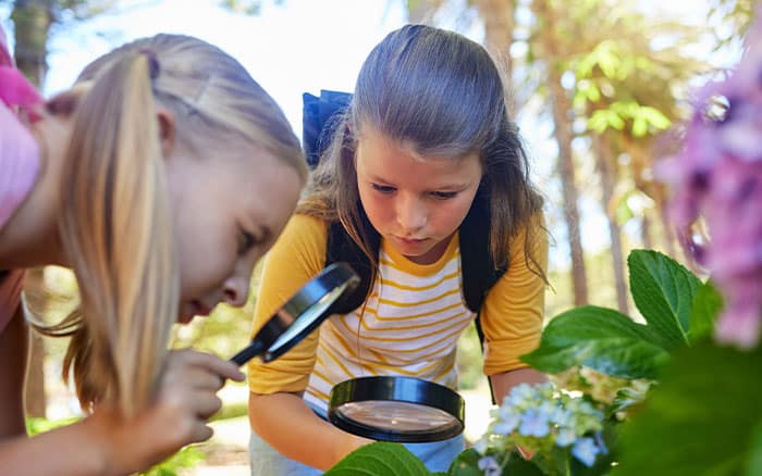 Children magnifying glasses plants