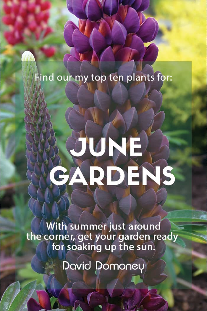 june 2023 top ten plants