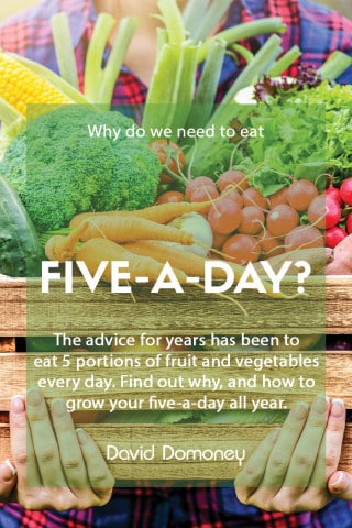 five a day feature