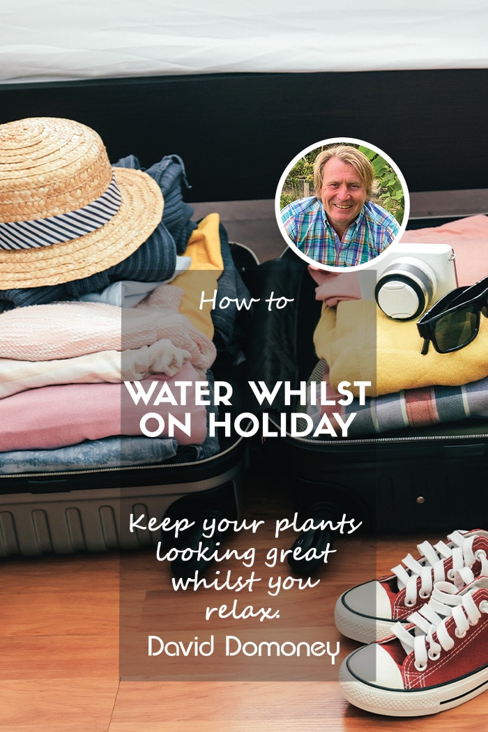 How to water your plants whilst on holiday.