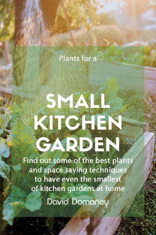 p4p small kitchen garden feature