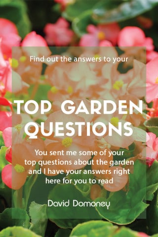 garden questions feature