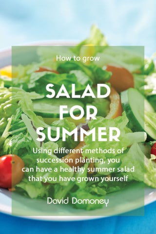 salad in time for summer feature