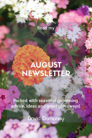 august newsletter feature august 2023