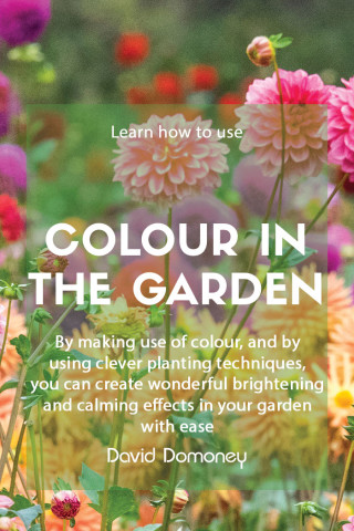 Colour in the garden