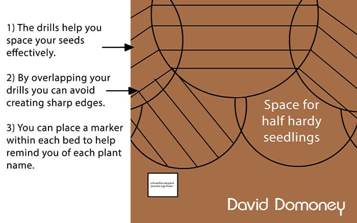 Seed bed and drills smaller graphic