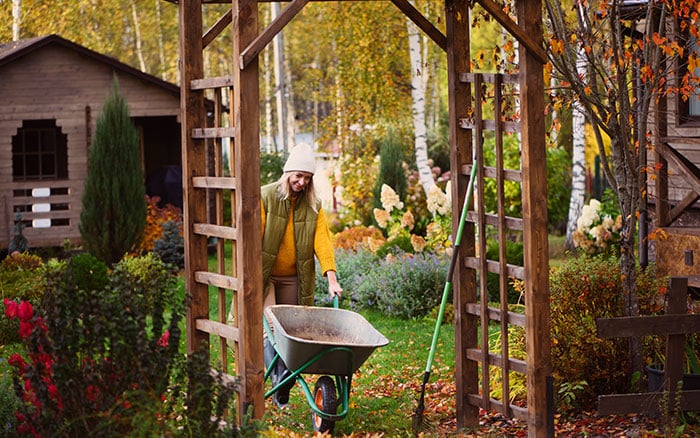 Getting ready to plant in autumn