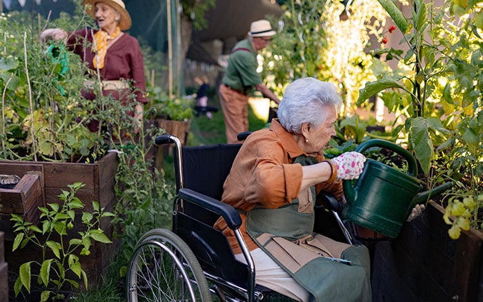 Wheelchair user raised bed