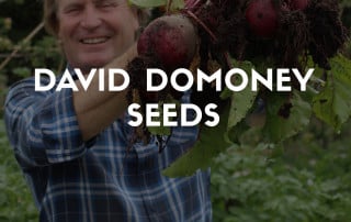 David Domoney Vegetable Seed Range