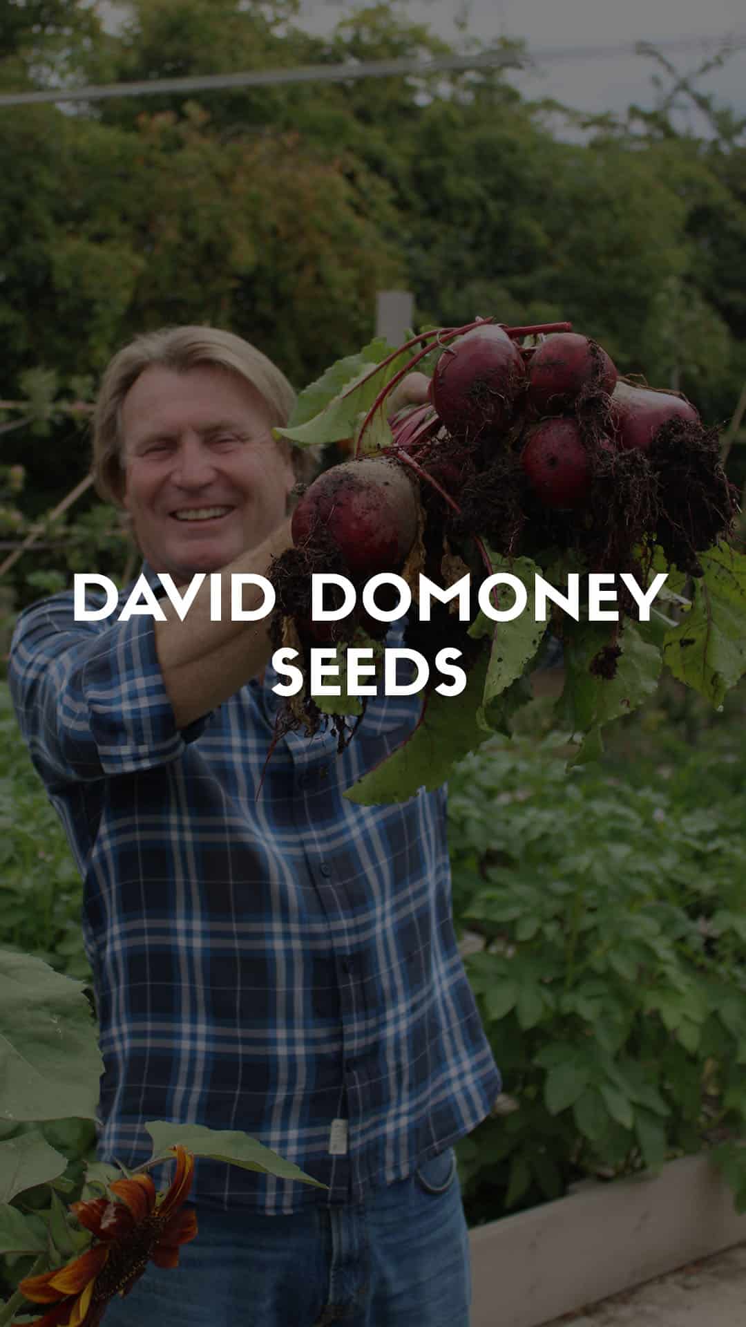 David Domoney Vegetable Seed Range