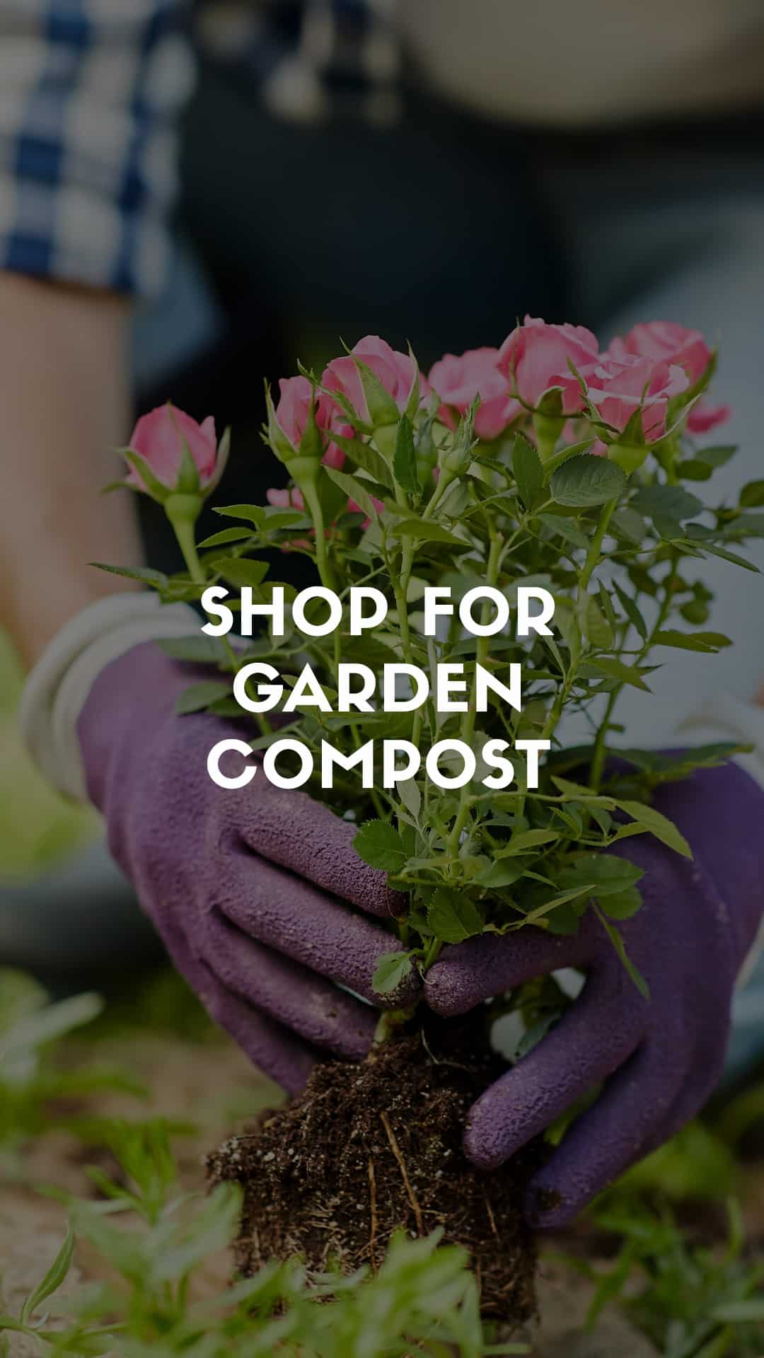 Shop For Garden Compost