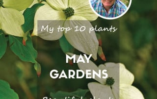 May Gardens Feature 2024 Blog