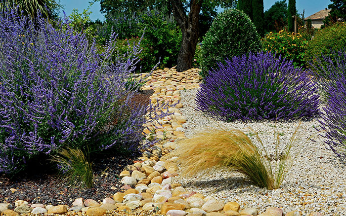 Mediterranean garden with gravel