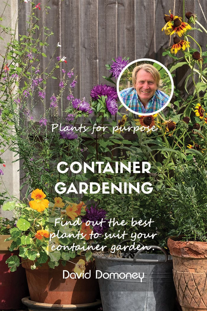 Container gardening feature