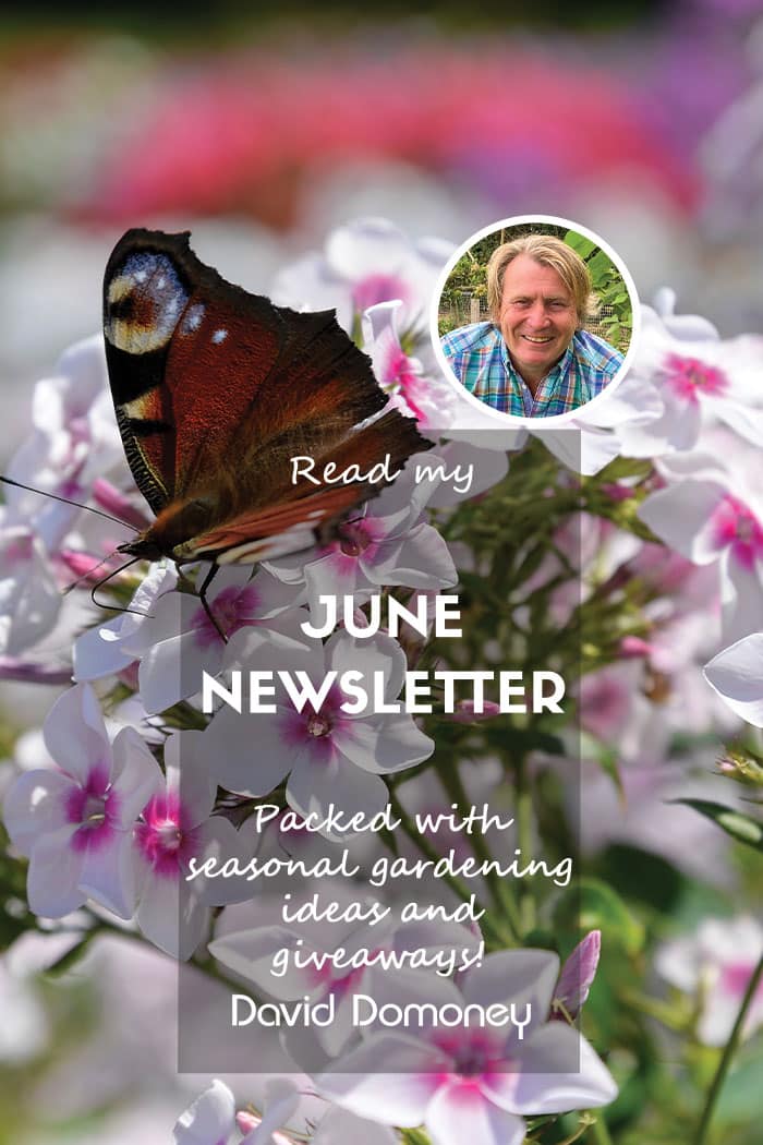 June newsletter feature website