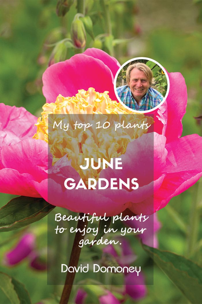 Top ten feature june 2024 blog