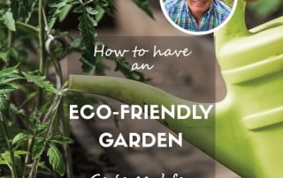 Green gardening feature blog