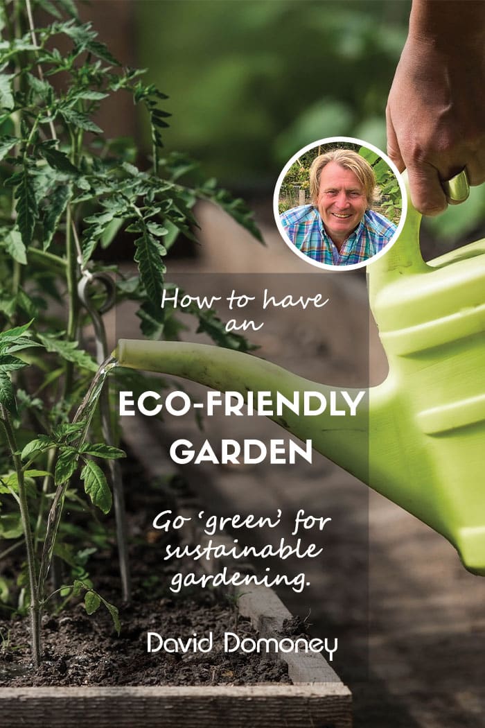 Green gardening feature blog