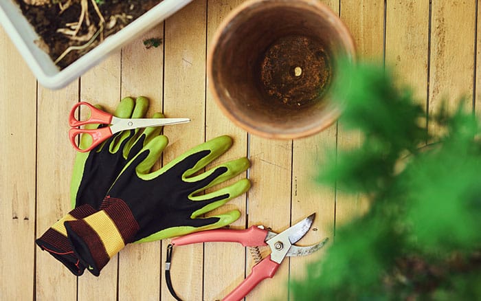 Equipment for cuttings