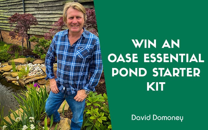 OASE Prize draw newsletter feature