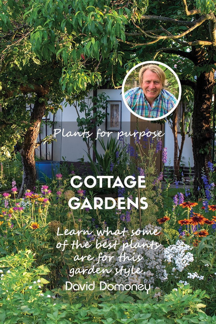 Plants for purpose july 2024 cottage garden feature