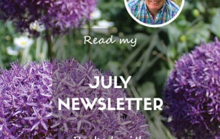 July 2024 Newsletter Feature