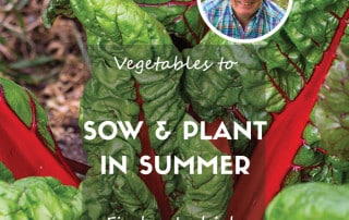 Sow and grow summer feature