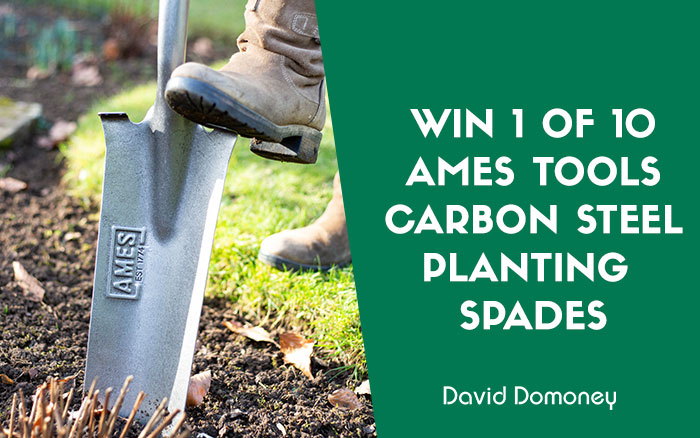 ames planting spades prize draw