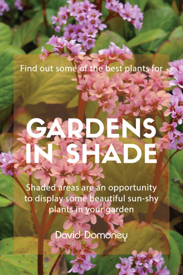 Gardens in Shade