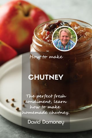 How to make chutney feature