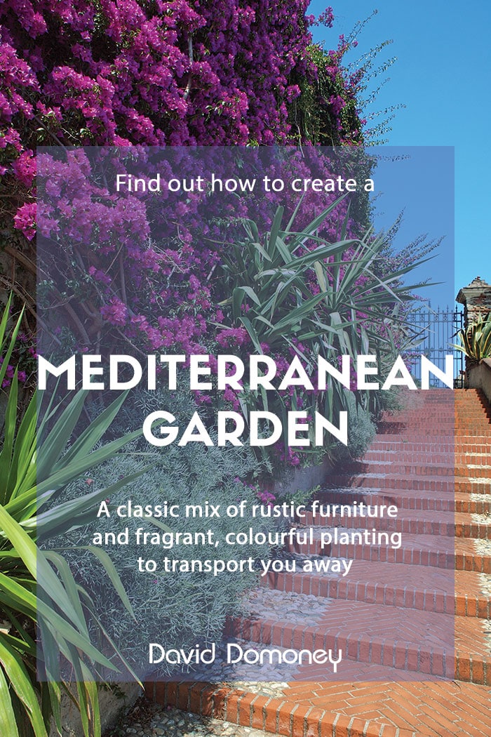 Mediterranean-garden