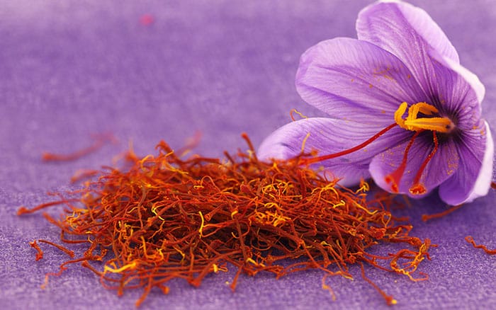 Saffron Crocus