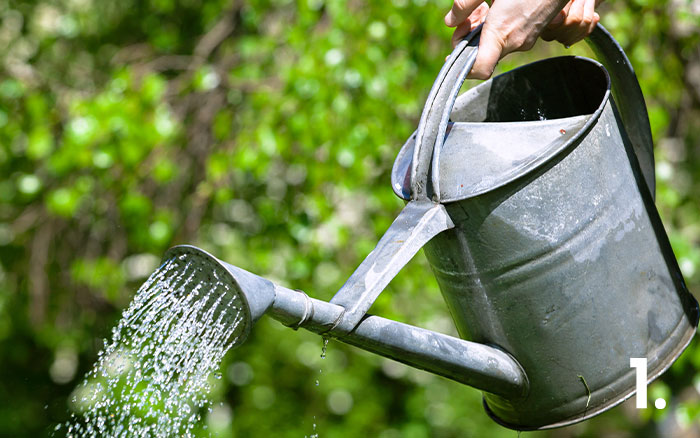 Watering-can-pouring-water