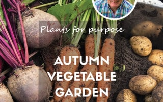 Autumnal vegetable garden feature